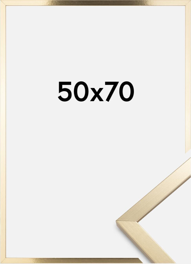 Ramme Trendy Akrylglass Gull 50x70 Cm