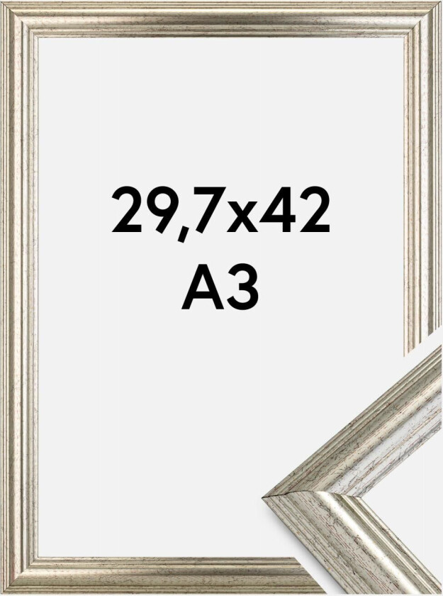 Ramme Västkusten Akrylglass Sølv 29,7x42 Cm (A3)