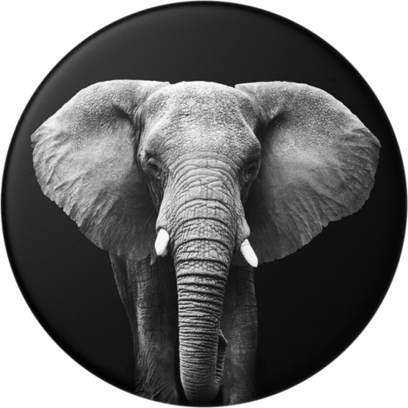 Loxodonta Africana, Mobiltelefon/smarttelefon, Passiv holder, Hånd, Flerfarget