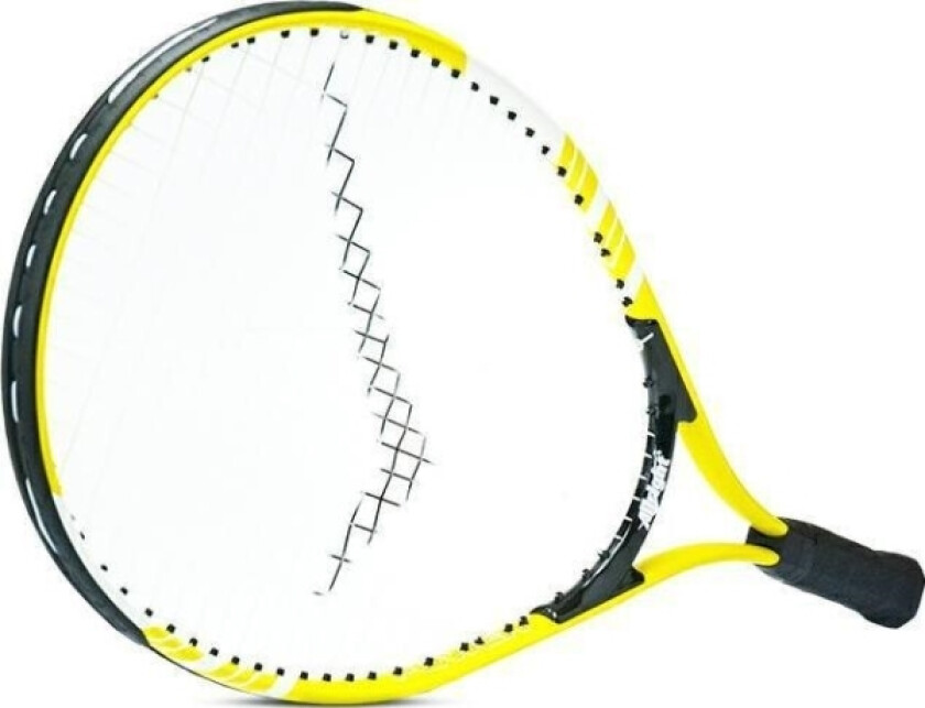 DYNASTY PRO II TENNISRACKET 21