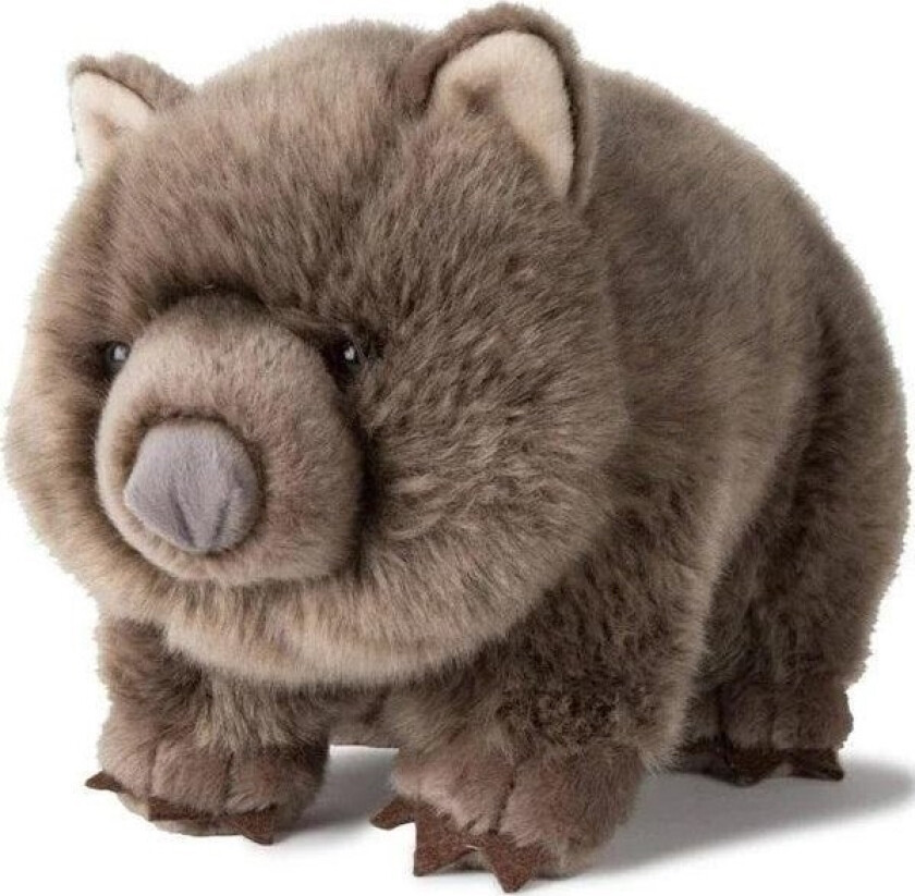 WWF Plush Wombat 28 cm