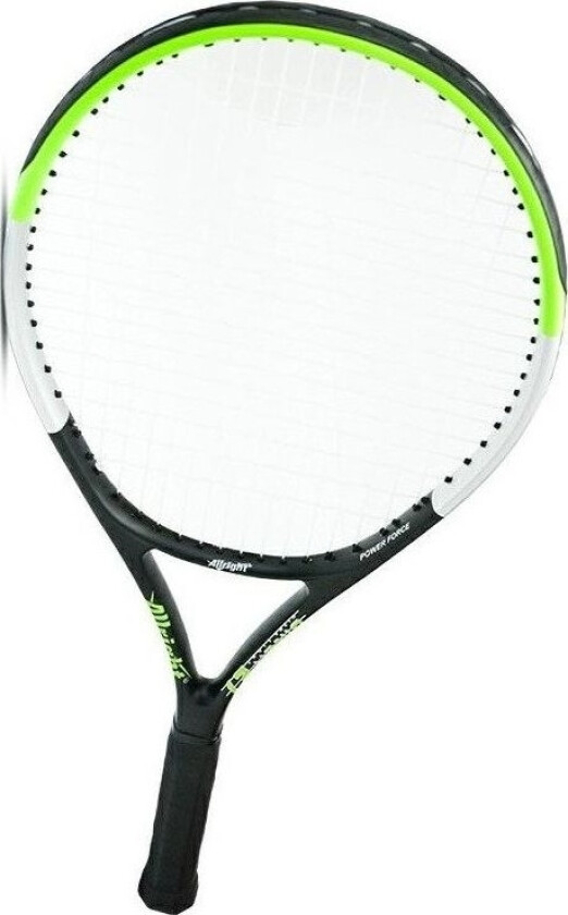Dynasty Pro II 27 tennisracket