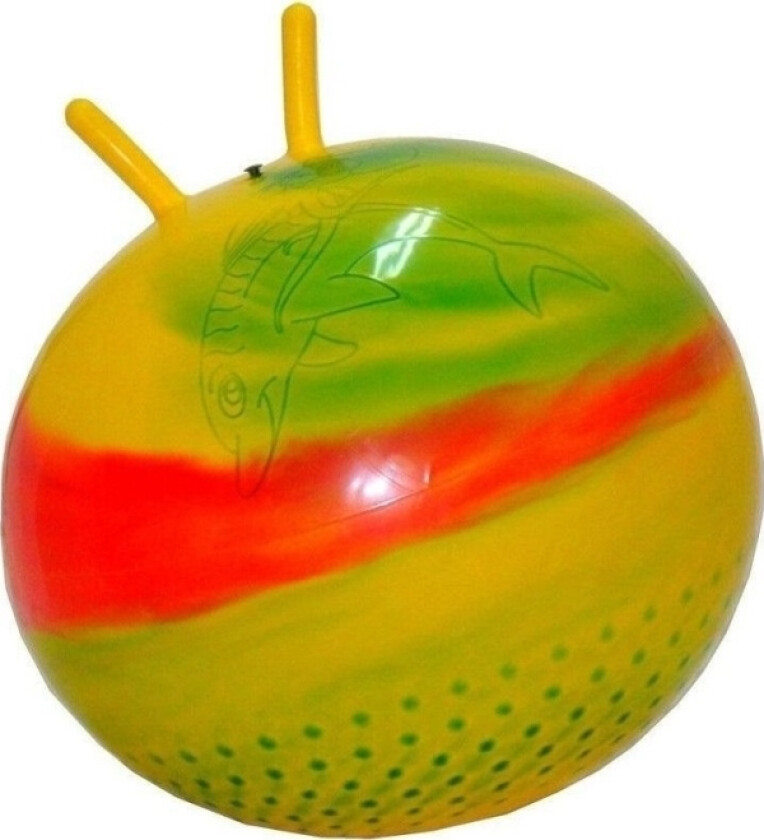Bilde av Rainbow hoppeball 55cm