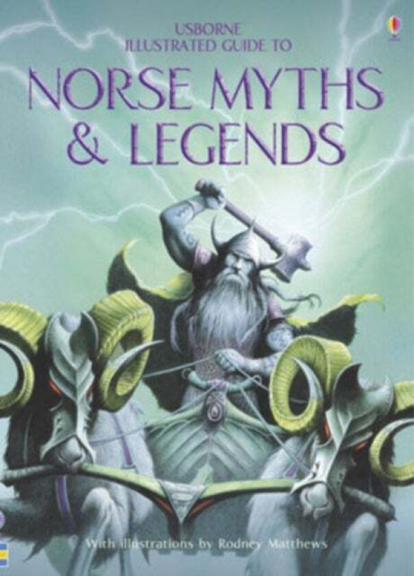 Norse myths and legends av Cheryl Evans, Anne Millard