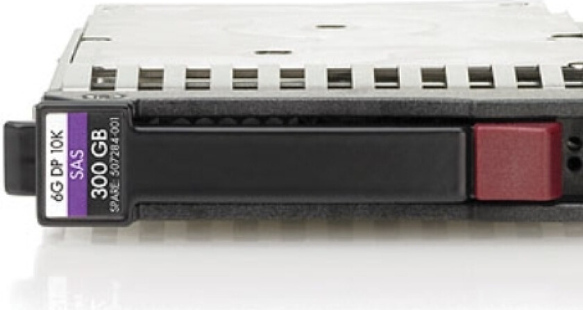 E Dual Port Enterprise - Harddisk - 300 GB - hot-swap - 2.5 SFF - SAS 6Gb/s - 10000 rpm