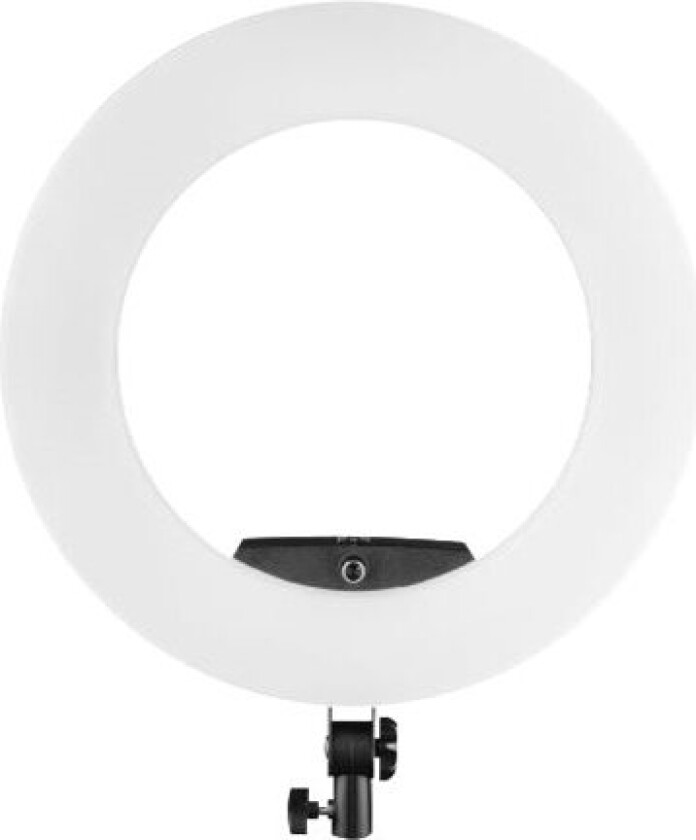 Pro Ring Light Medow 960 Pro Bi Color -