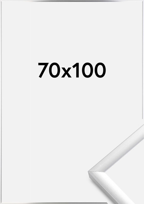 Ramme New Lifestyle Akrylglass Sølv 70x100 Cm