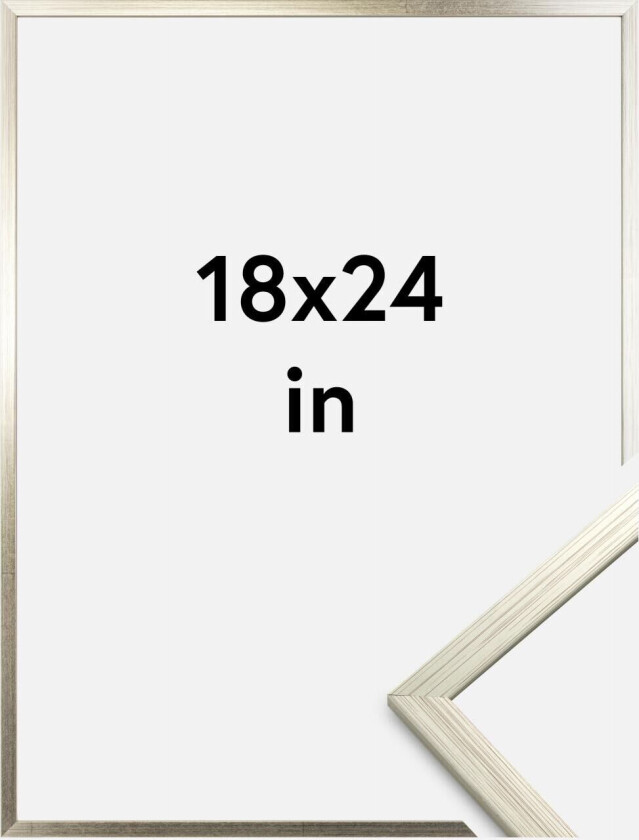 Ramme Edsbyn Sølv 18x24 Inches (45,72x60,96 Cm)