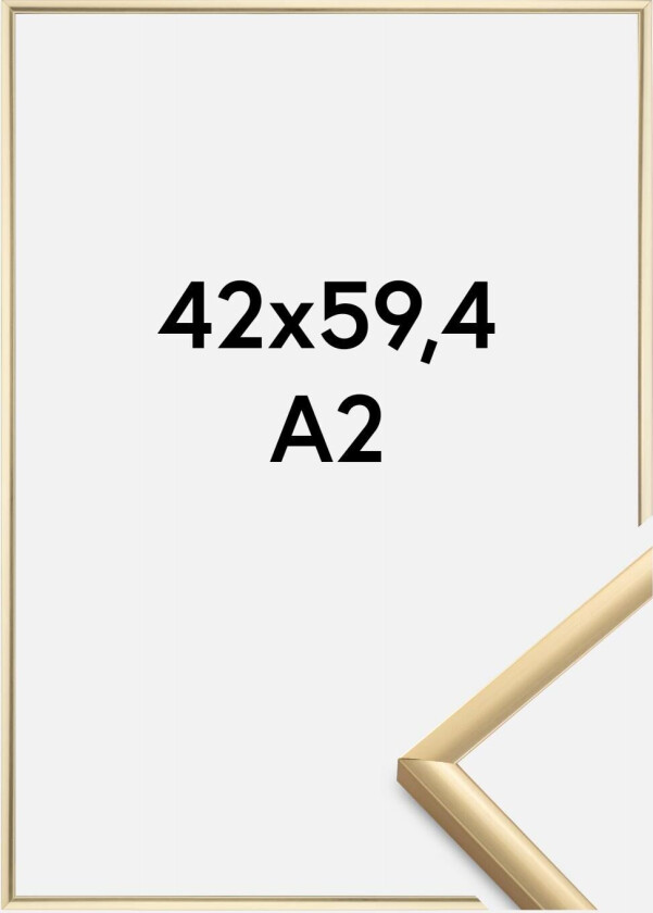 Ramme New Lifestyle Akrylglass Gull 42x59,4 Cm (A2)