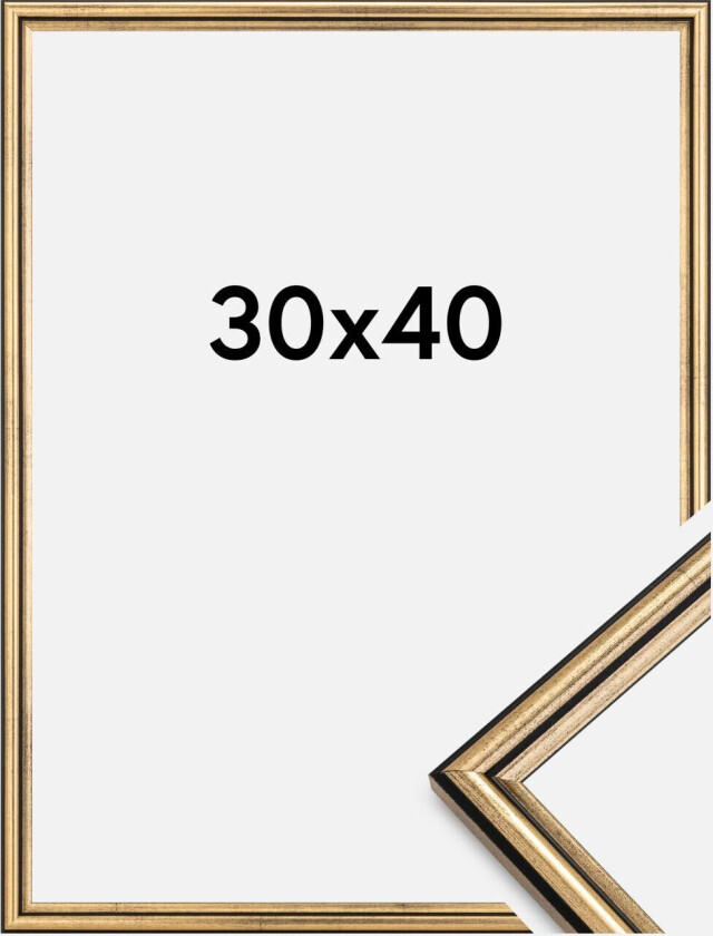 Ramme Horndal Gull 30x40 Cm