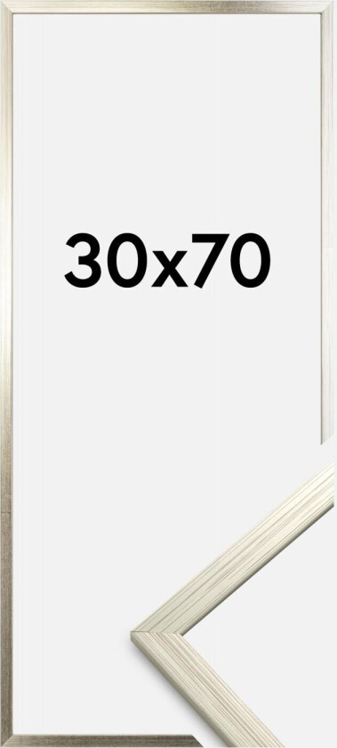 Ramme Edsbyn Sølv 30x70 Cm