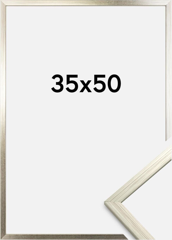 Ramme Edsbyn Sølv 35x50 Cm