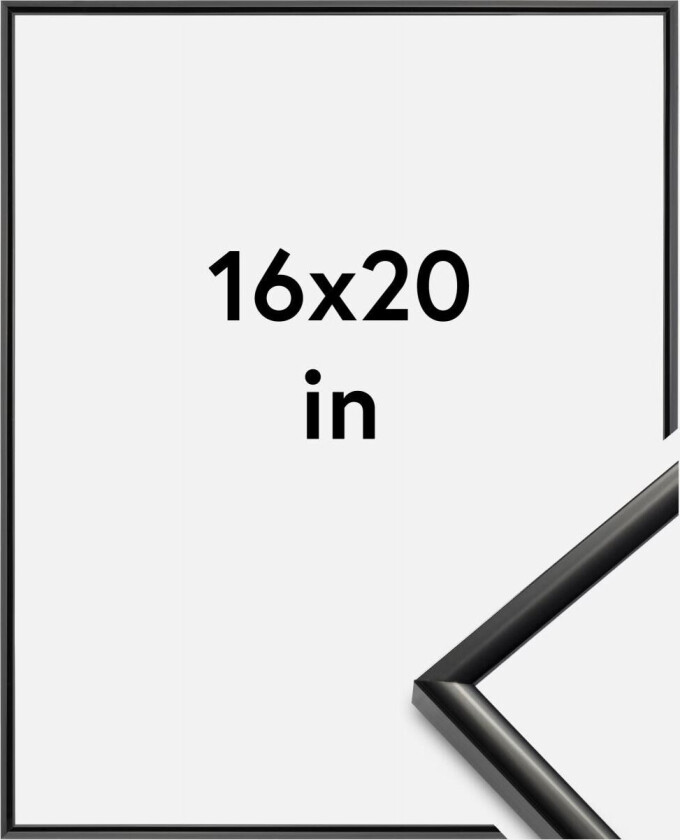 Ramme New Lifestyle Svart 16x20 Inches (40,64x50,8 Cm)