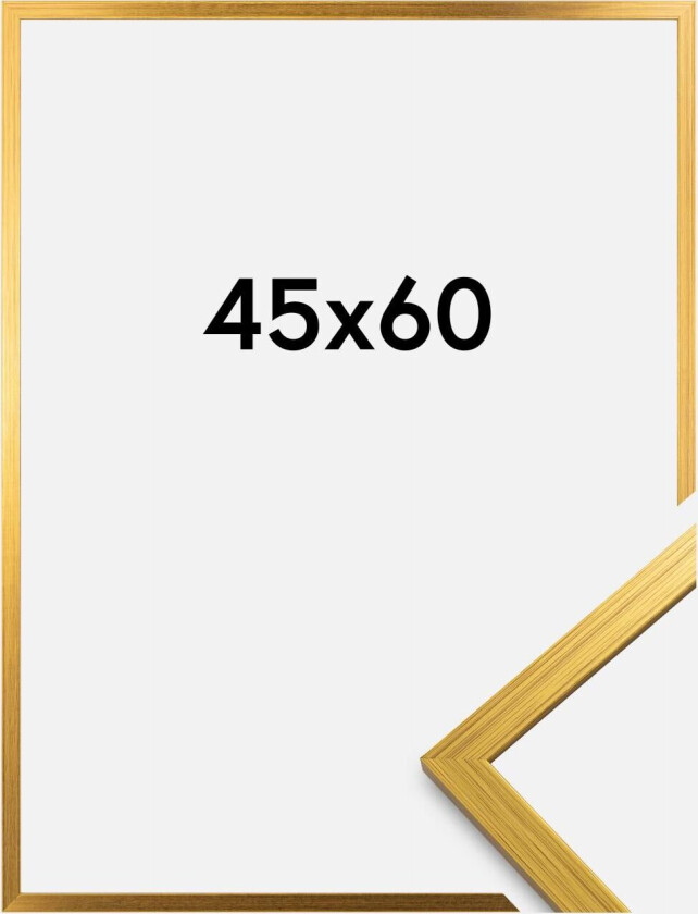 Ramme Edsbyn Akrylglass Gull 45x60 Cm