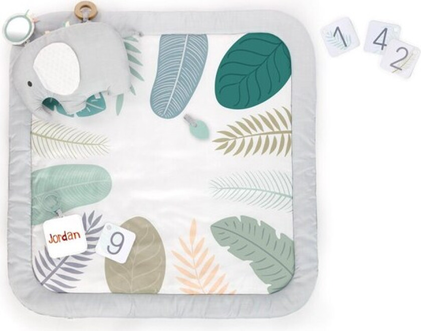 Sprout Spot™ Baby Milestone Play Mat