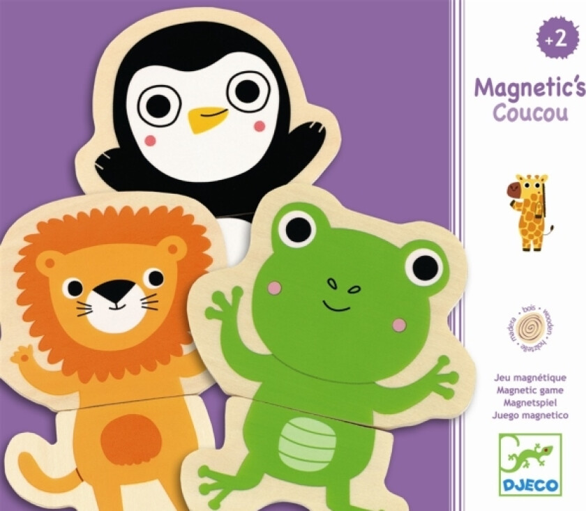 Wooden Magnetic Minidyr