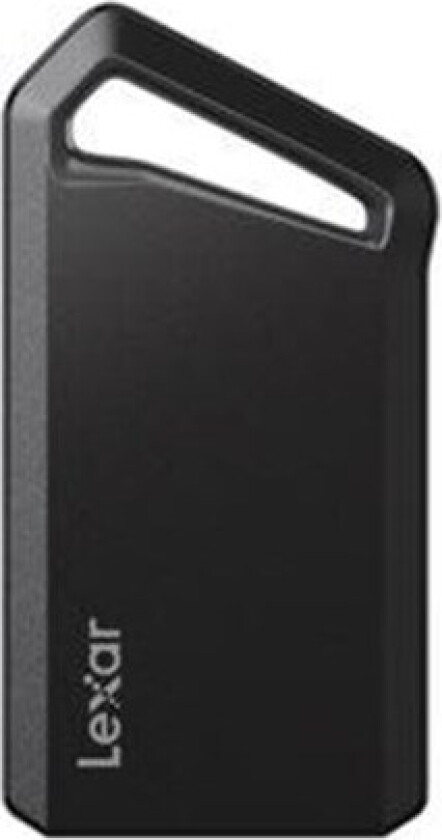 Professional SL600 - SSD - 1 TB - ekstern (bærbar) - USB 3.2 Gen 2x2 (USB-C kontakt) - 256-bit AES - grafittgrå