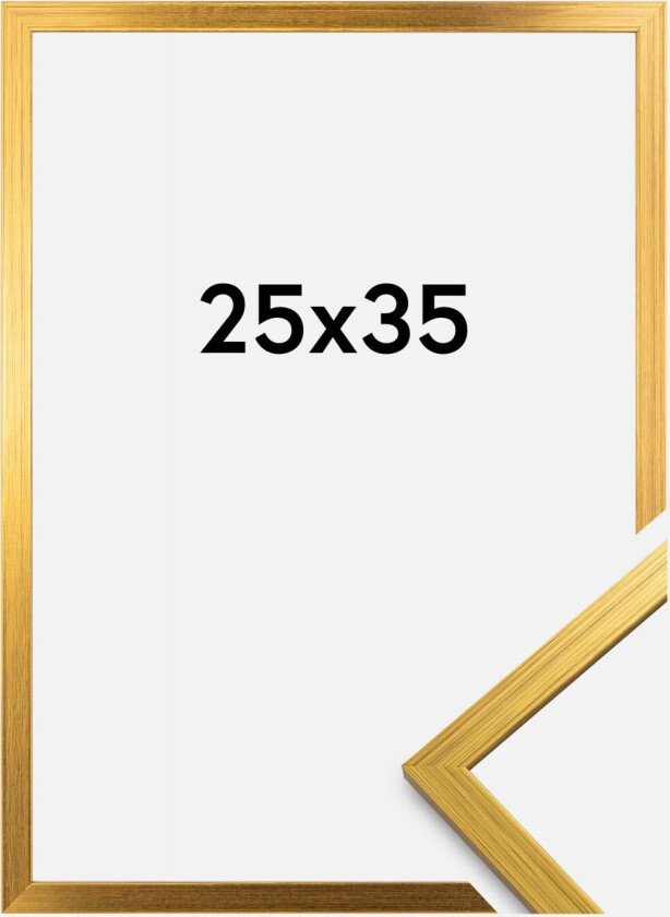Ramme Edsbyn Gull 25x35 Cm