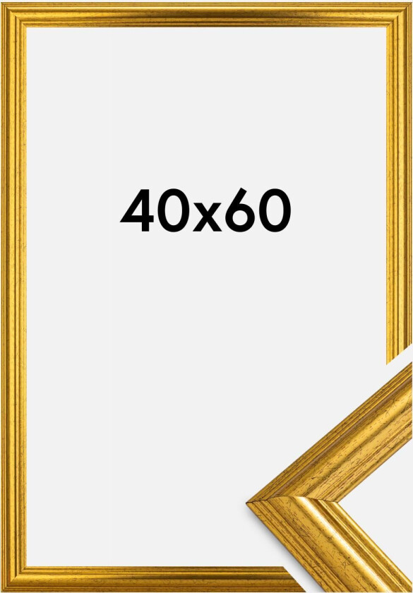 Ramme Västkusten Akrylglass Gull 40x60 Cm