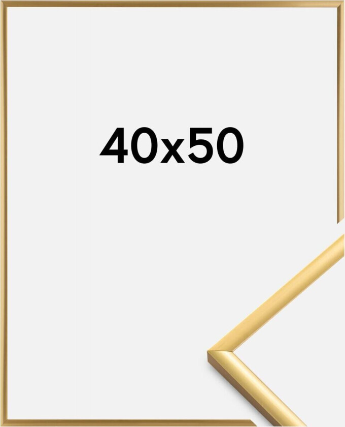 Ramme New Lifestyle Akrylglass Shiny Gold 40x50 Cm