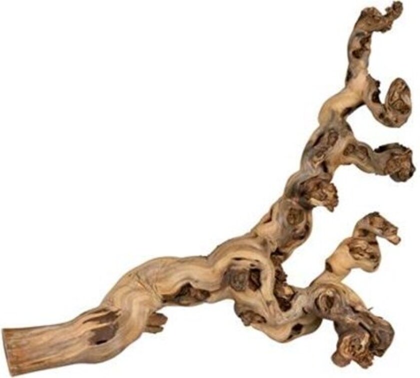Bilde av Vingren sandblæst 50-80 cm