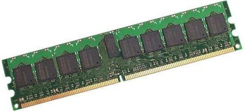 Memory - DDR2 - 4 GB - DIMM 240-pin - unbuffered