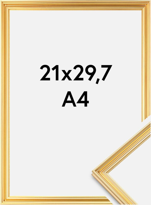 Focus Ramme Verona Gull 21x29,7 Cm (A4)