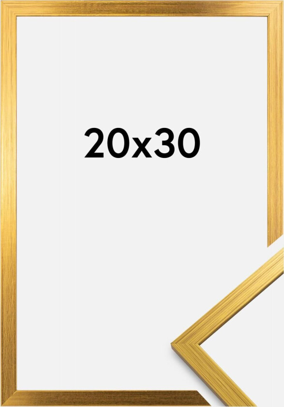 Ramme Edsbyn Akrylglass Gull 20x30 Cm