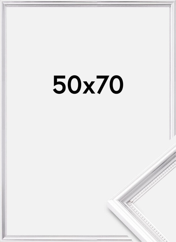 Ramme Gala Akrylglass Sølv 50x70 Cm
