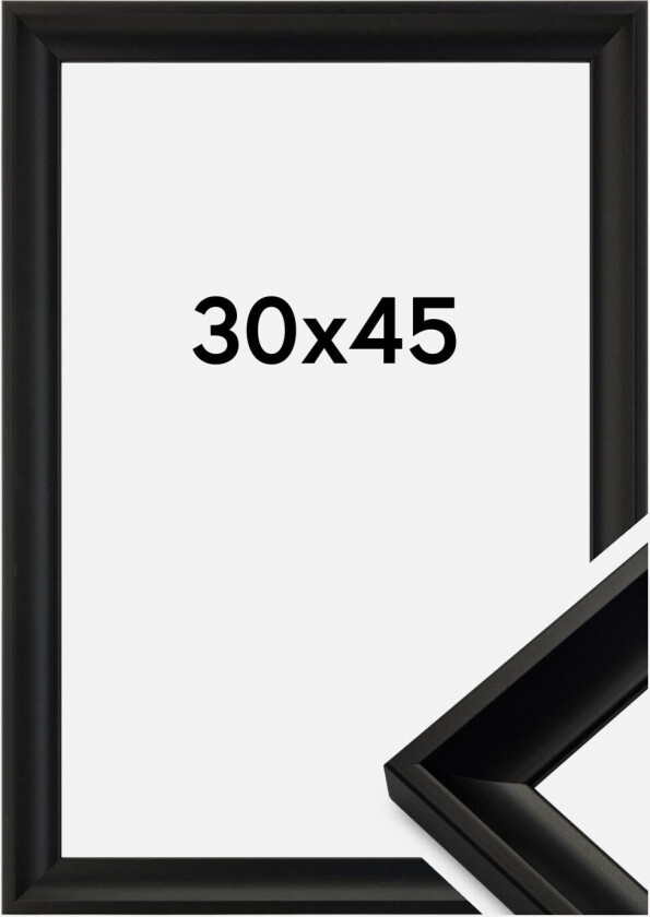 Ramme Öjaren Akrylglass Svart 30x45 Cm