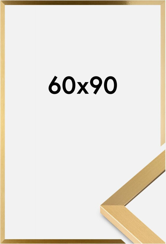 Ramme Selection Akrylglass Gull 60x90 Cm