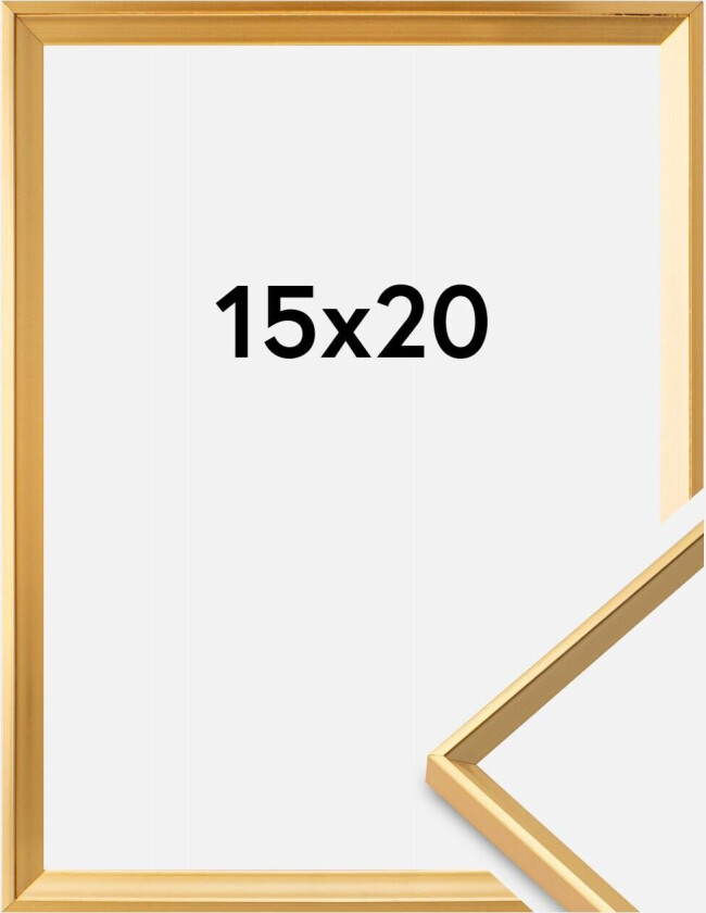 Ramme Desire Akrylglass Gull 15x20 Cm
