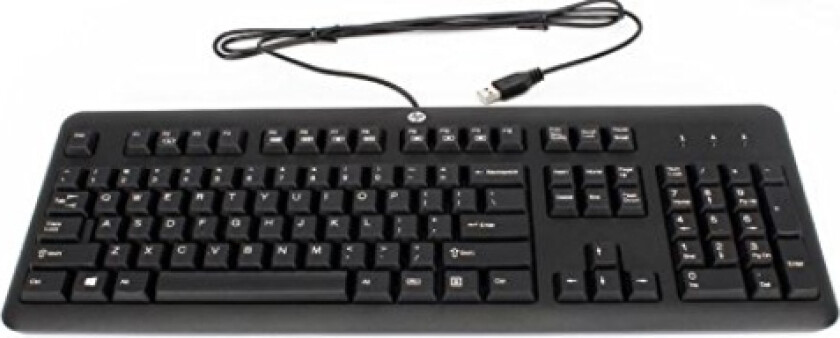 672647-333, Full-size (100%), Koblet med ledninger (ikke trådløs), USB, Mekanisk nøkkelbryter, Sort