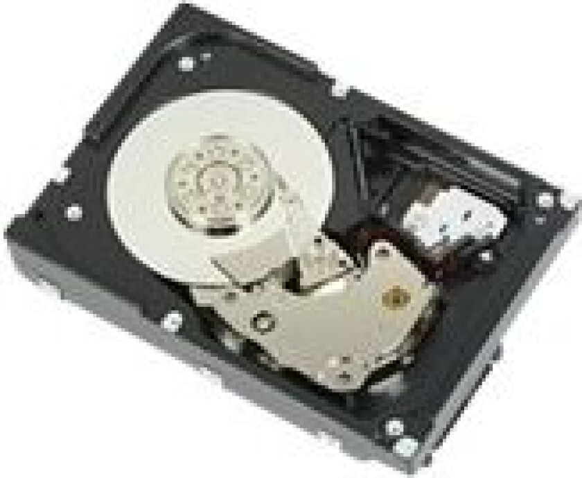 - Harddisk - 300 GB - intern - 3.5 - SAS 6Gb/s - 15000 rpm - oppusset - for PowerEdge R300, R410, T100, T110, T410 PowerVault MD3000 Precision T3500, T5500, T7500