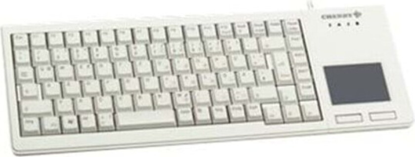 XS G84-5500 - Tastatur - USB - USA - lysegrå