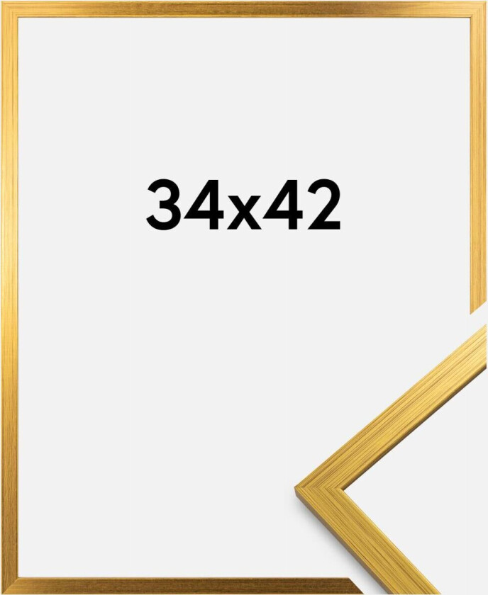 Ramme Edsbyn Akrylglass Gull 34x42 Cm