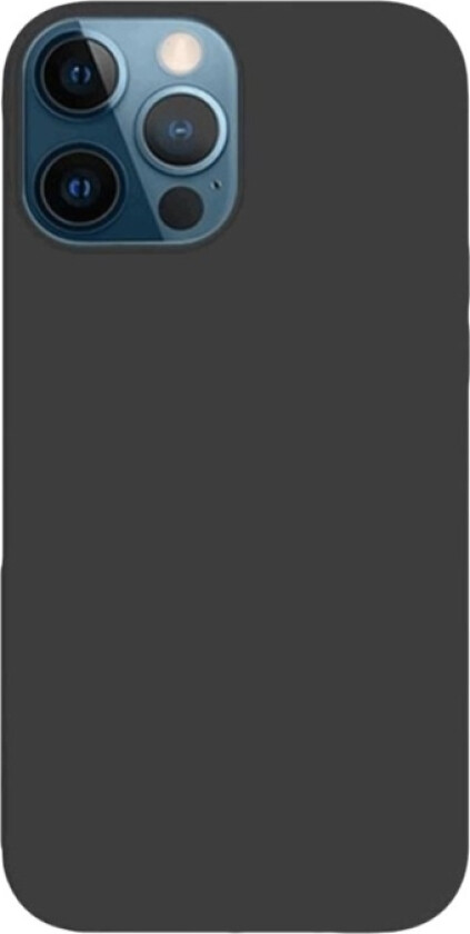 - Baksidedeksel for mobiltelefon - MagSafe-samsvar - silikon, polykarbonat - svart - for Apple iPhone 12 mini