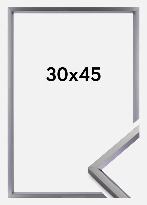 Ramme Steel Style Stål 30x45 Cm