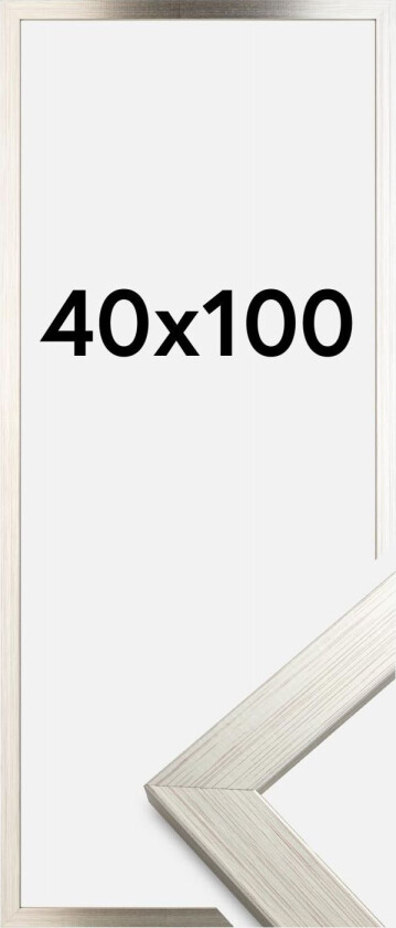 Ramme Silver Wood 40x100 Cm