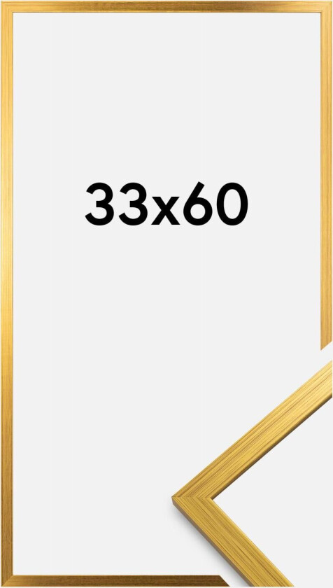 Ramme Edsbyn Akrylglass Gull 33x60 Cm