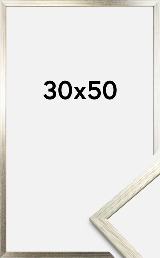 Ramme Edsbyn Sølv 30x50 Cm