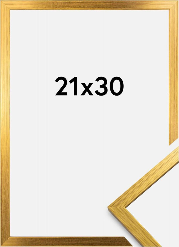 Ramme Edsbyn Gull 21x30 Cm