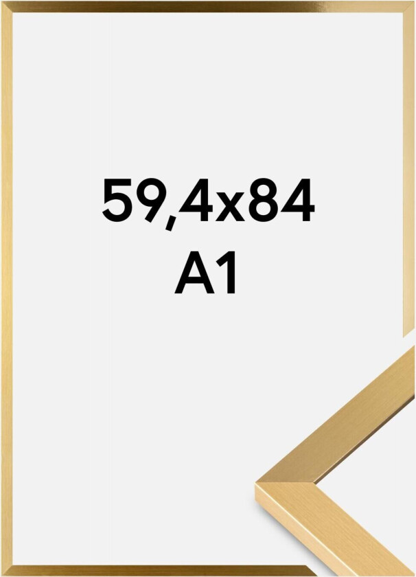 Ramme Selection Akrylglass Gull 59,4x84 Cm (A1)