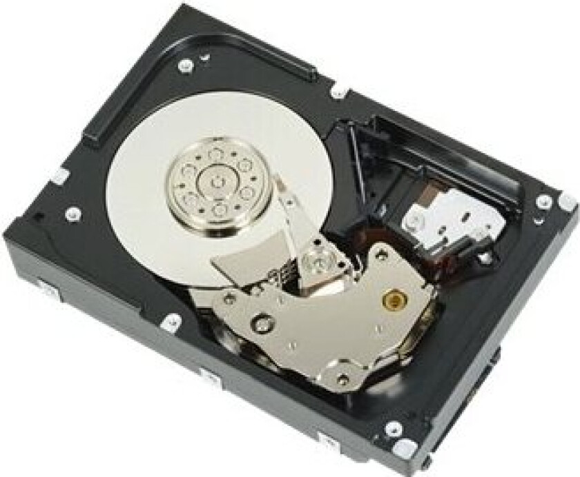 - Harddisk - 300 GB - 2.5 - SAS - 10000 rpm