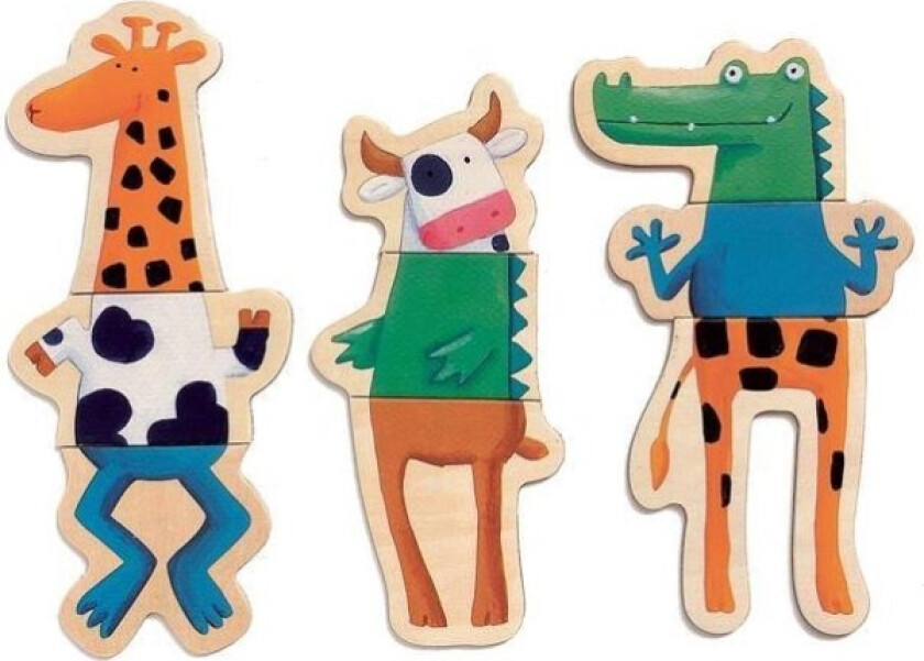 Wooden Magnetic Crazy