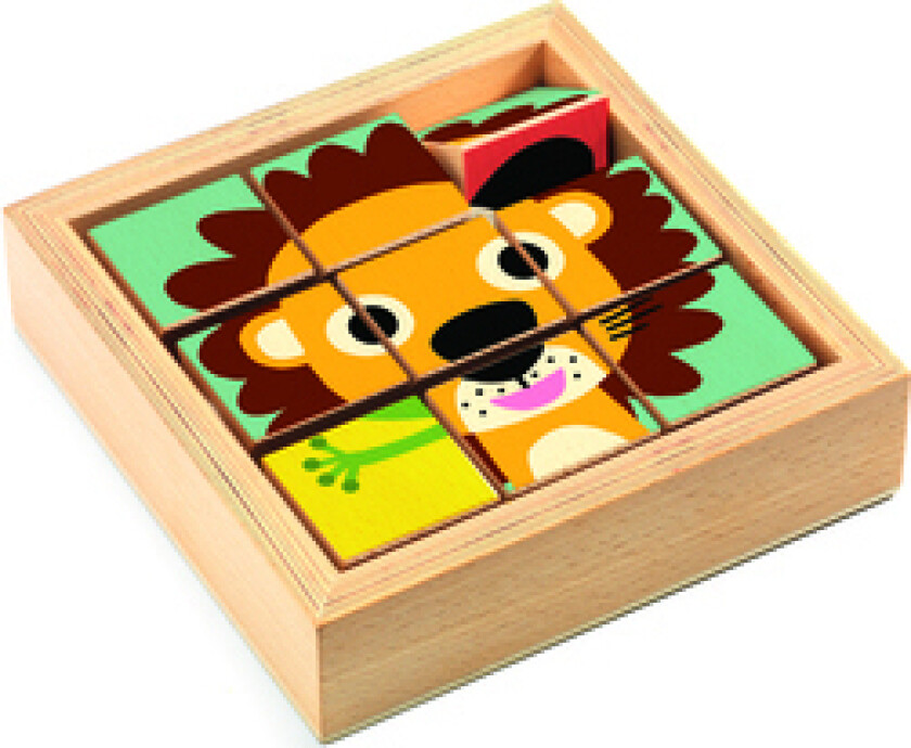 Wooden Blocks Puzzle Tournanimo