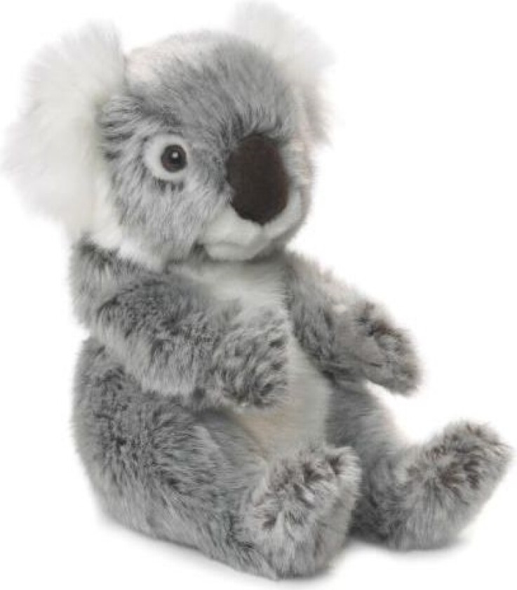 WWF Plush Koala 15 cm