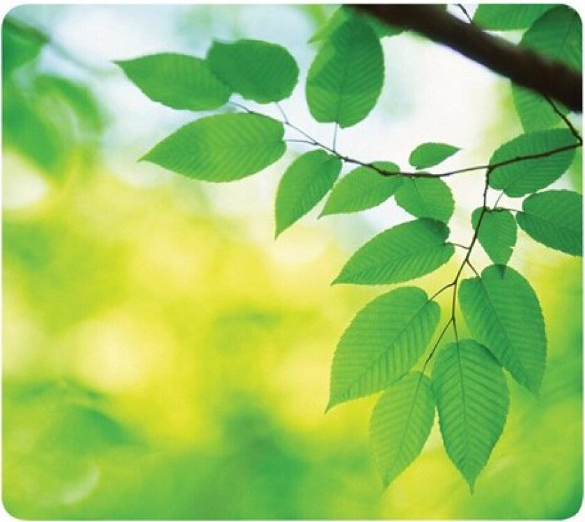 Recycled Mouse Pad Leaves - Musematte - multifarge