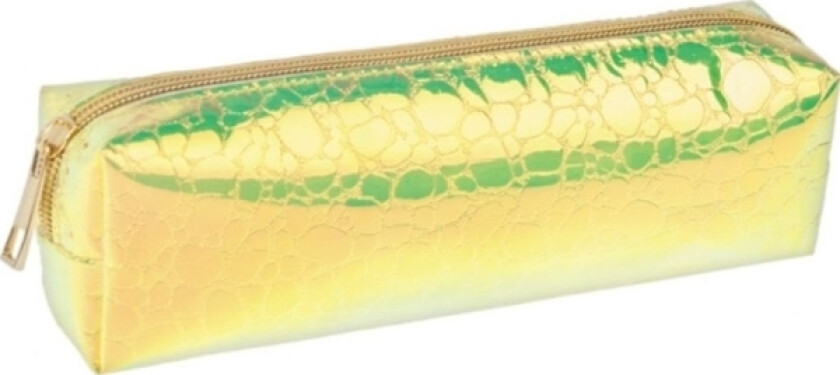 pencil case and STK SCALE GOLD PB 24/48 pencil case