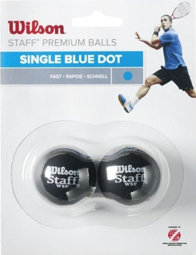 Wilson Wilson Staff Squash Blue Dot 2 Pack Ball WRT617500 svart One size